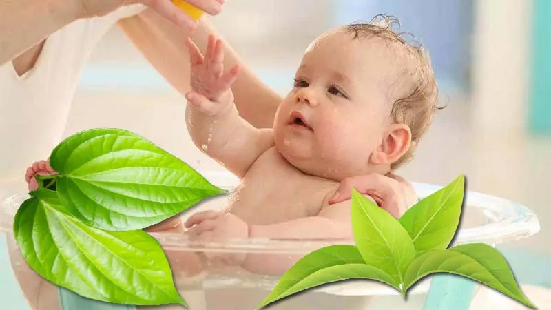 Hướng dẫn mẹ cách tắm lá trầu không cho bé bị rôm sảy tại nhà an toàn